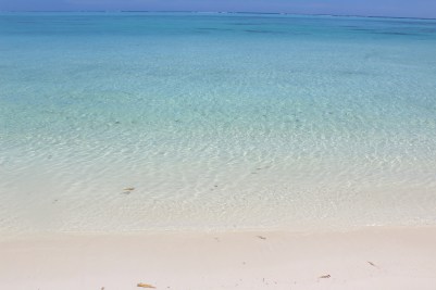 20170316110356_IMG_0922