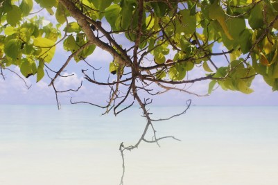 IMG_20170313_122758_179