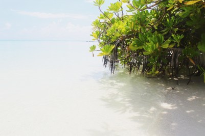 IMG_20170313_150405_405