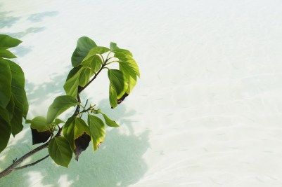 IMG_20170313_161935_364