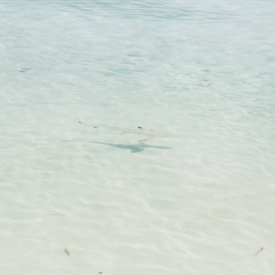 IMG_20170313_164038_027