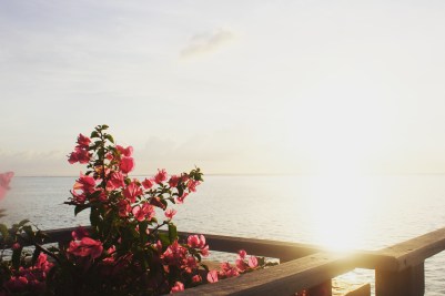 IMG_20170313_185041_182