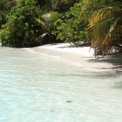 IMG_20170316_161444_711