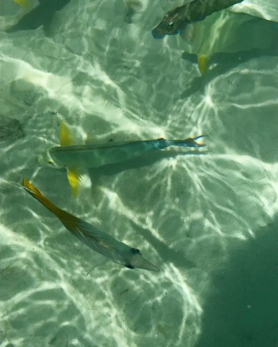 IMG_20170316_161603_144