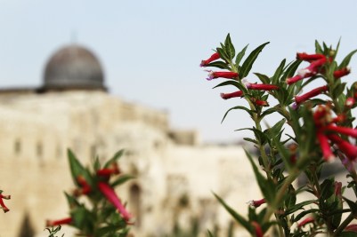 IMG_20170925_100321_742