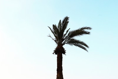 IMG_20170920_140426_210