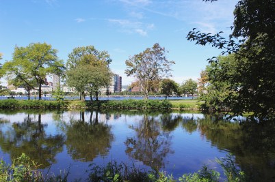 Charles River 2