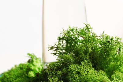 BRU l'eau qui jaillit naturellement perlée du sol belge (10)