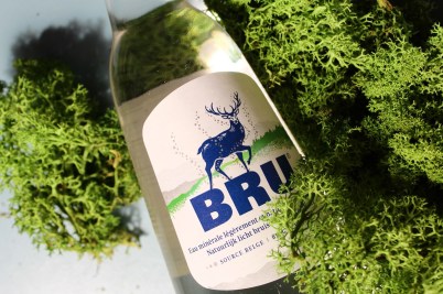 BRU l'eau qui jaillit naturellement perlée du sol belge (3)