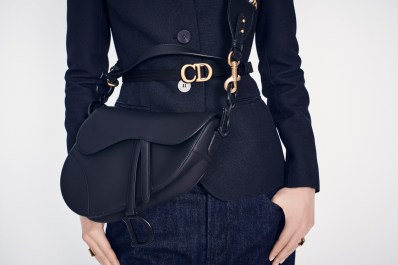 mini SAddle ultra matte DIOR